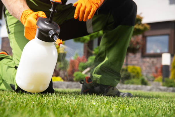 Pest Control Cost in Strawberry Plains, TN