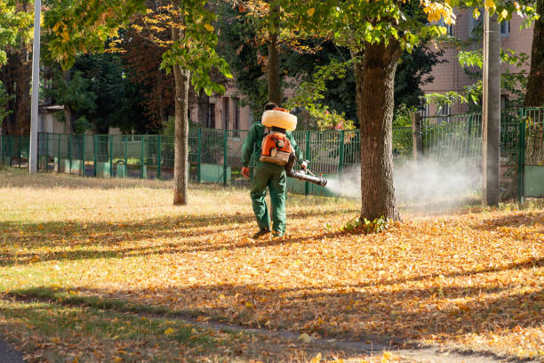 Insect Control in Strawberry Plains, TN