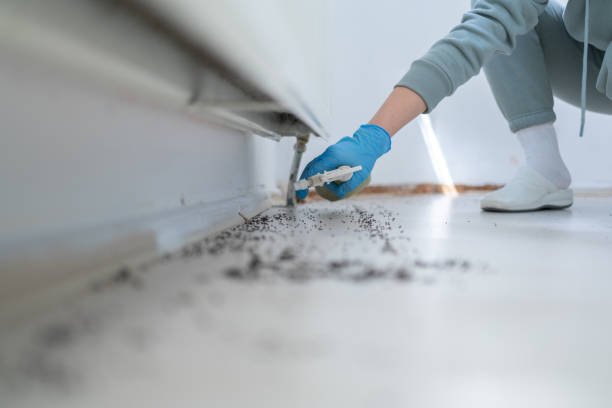 Best Termite Control Services  in Strawberry Plains, TN