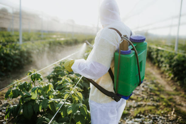 Best Pest Control Cost  in Strawberry Plains, TN